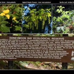 Honeymoon Bay sign , flowers, leaves