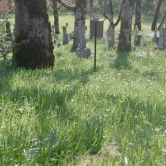 SP02_W-Hauser_0423-cemetery