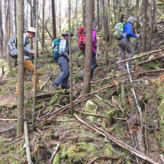 Hikers