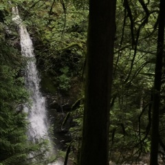 Langdale Falls