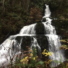 Steelhead-Falls_TG-0789
