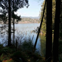 Hayward Lake ©Azarm-Shahpoori