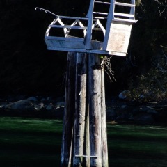 Basket_on_pile_6440