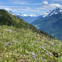 ElkMtn_Meadow_TGagne_1675