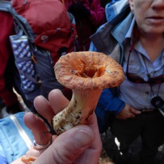 DSCN5958