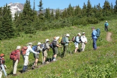 Rosamund leading her flock of wildflower enthusiasts up the Smithers Ski Hill_