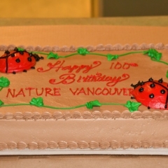 Anniversary Cake