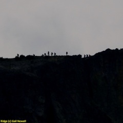 Hikers on Goat Ridge © Gail Newell