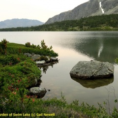 Swim Lake © Gail Newell