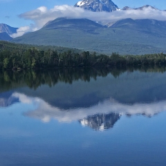White Saddle © Caroline Penn