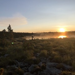 Sunrise over Camp Lake © Sally McDermott