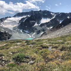 Glacier © Jane Galliazzo